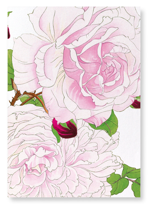 Pink rose (Pack of 2 art prints)