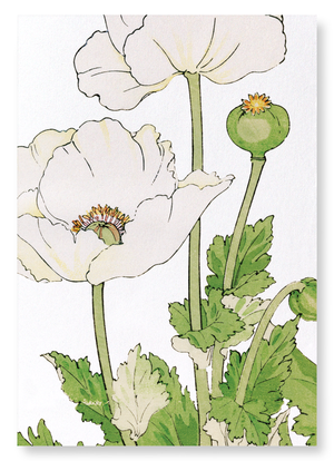 Poppy (Pack of 2 art prints)