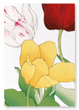 Tulip (Pack of 2 art prints)