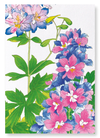 Delphinium flowers (Pack of 2 art prints)