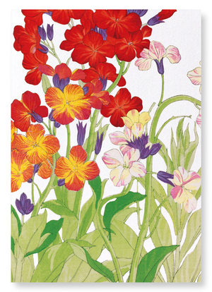 Wallflower (Pack of 2 art prints)