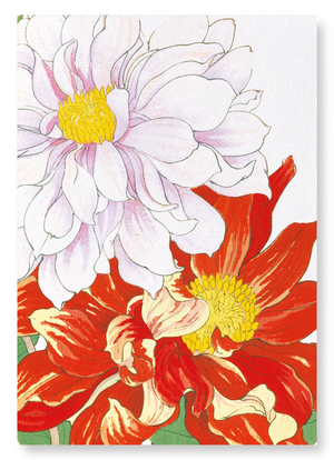 Dahlia flowers (Pack of 2 art prints)