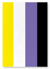 Non binary pride flag (Pack of 2 prints)