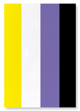 Non binary pride flag (Pack of 2 prints)