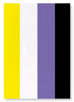 Non binary pride flag (Pack of 2 prints)