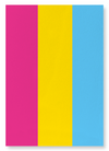 Pansexual pride flag (Pack of 2 prints)