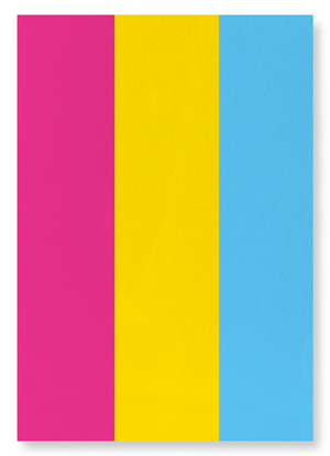 Pansexual pride flag (Pack of 2 prints)