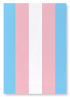 Transgender pride flag (Pack of 2 prints)