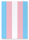 Transgender pride flag (Pack of 2 prints)