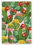 Colouful cacti : 2 prints