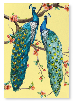 Couple of peacocks : 2 prints