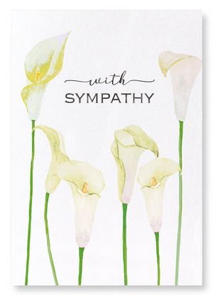 Calla lily of sympathy : 2 prints