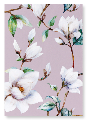 Elegant magnolia : 2 prints