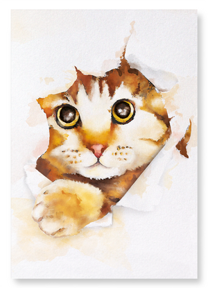 Hello kitty cat : 2 prints