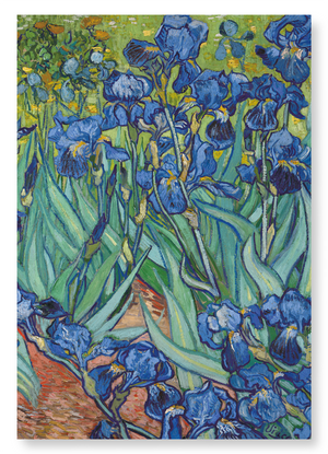 Irises by van gogh : 2 prints