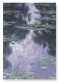 Water lilies no.2 by monet : 2 prints