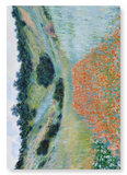 Poppy field in a hallow by monet : 2 prints