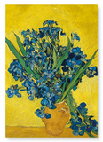 Vase with irises by van gogh : 2 prints