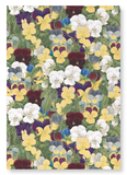 Pansies : 2 prints