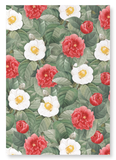 Camellia japonica : 2 prints