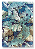 Acanthus grapes : 2 prints