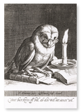 Wise owl (1625) : 2 prints