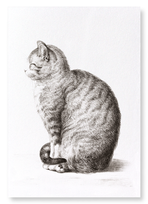 Sitting cat (1815) : 2 prints