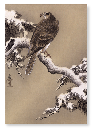 Eagle and pine tree (Pack of 2 prints)