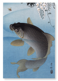 Carp and wisteria (Pack of 2 prints)