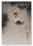 Monkey and bamboo (Pack of 2 prints)