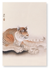 Tiger (Pack of 2 prints)