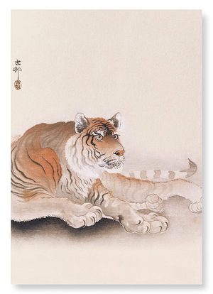 Tiger (Pack of 2 prints)