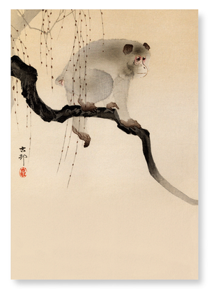 Monkey in a tree (Pack of 2 prints)