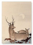 Two deer and maple (Pack of 2 prints)