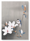 Bird on magnolia (Pack of 2 prints)