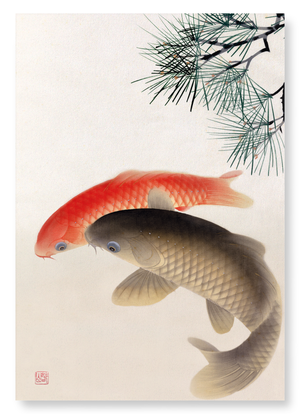 Carps and pine (Pack of 2 prints)