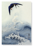 Swallow in flight (Pack of 2 prints)