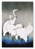 Herons in the winter (Pack of 2 prints)