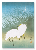 Egrets and crescent moon (Pack of 2 prints)