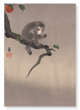 Monkey and persimmon fruit (Pack of 2 prints)