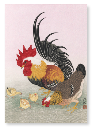 Rooster hen (Pack of 2 prints)