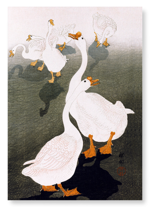 Geese (Pack of 2 prints)