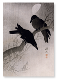 Crows at night (Pack of 2 prints)