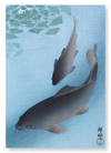 Couple of carps (Pack of 2 prints)