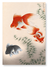 Goldfish (Pack of 2 prints)