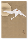 Goose in flight (Pack of 2 prints)