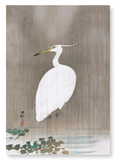 Wading egret (Pack of 2 prints)