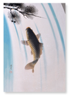 Carp and waterfall (Pack of 2 prints)