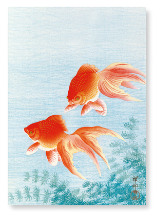 Couple of goldfish (Pack of 2 prints)