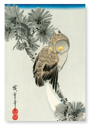 Owl (Pack of 2 prints)